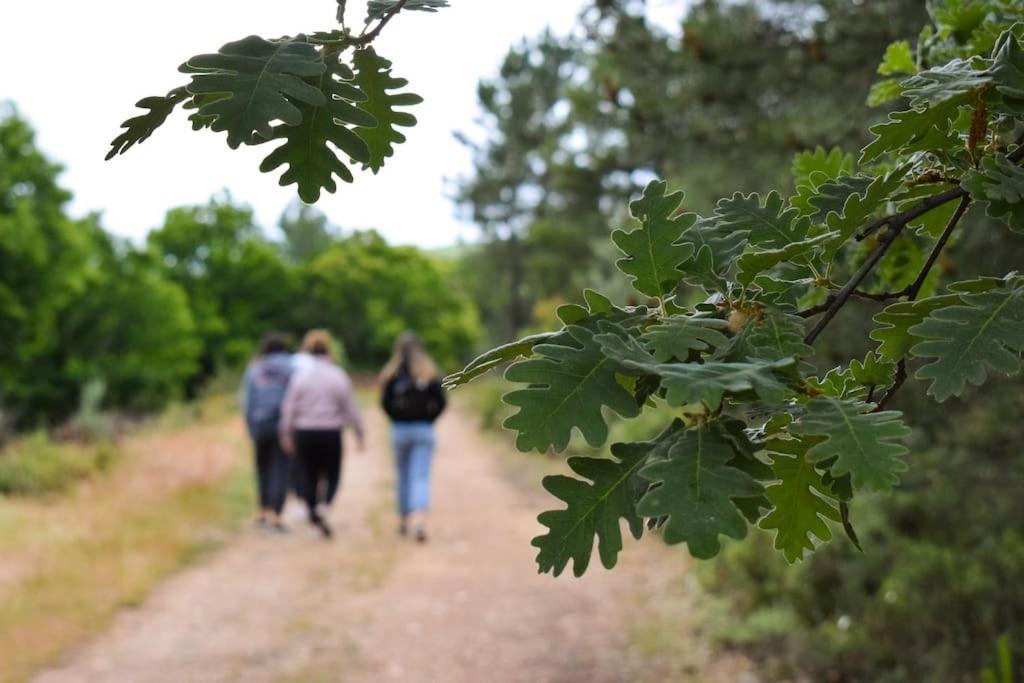Casa Rural Tozolosolobos Otero de Bodos Eksteriør billede