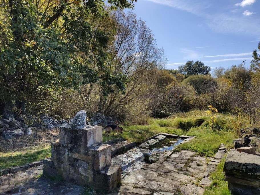 Casa Rural Tozolosolobos Otero de Bodos Eksteriør billede